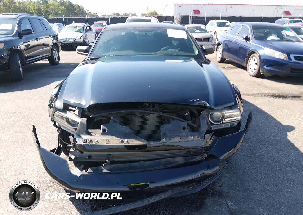 2014 Ford Mustang V6 VIN:1ZVBP8AM8E5283436 - 12