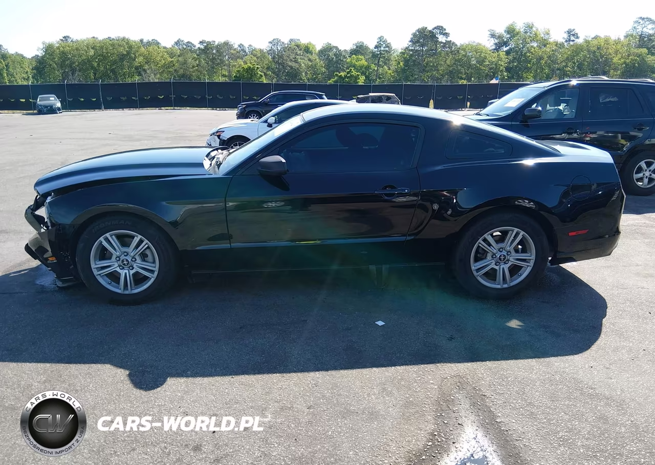 2014 Ford Mustang V6 VIN:1ZVBP8AM8E5283436 - 14