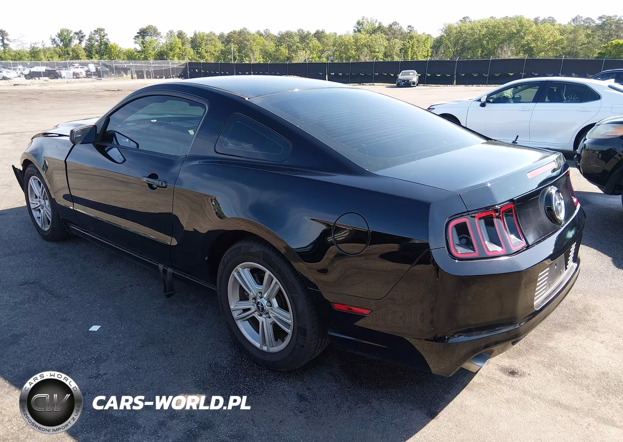 2014 Ford Mustang V6 VIN:1ZVBP8AM8E5283436 - 3
