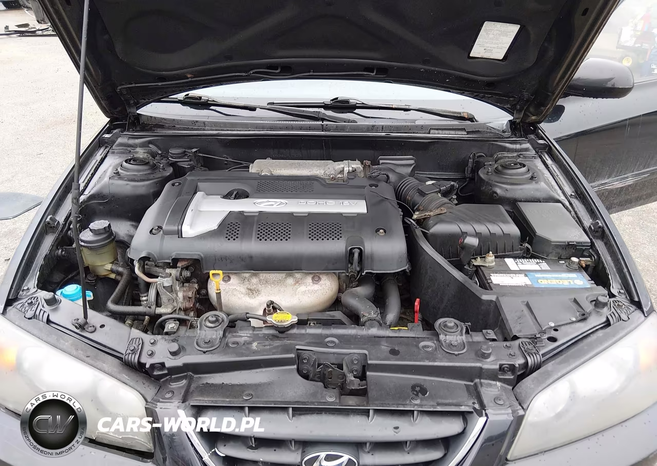 2005 Hyundai Elantra Gls-Gt VIN:KMHDN46D75U039216 - 10