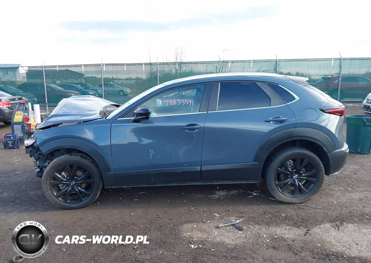 2023 Mazda Cx-30 2.5 S Carbon Edition VIN:3MVDMBCM3PM524880 - 14