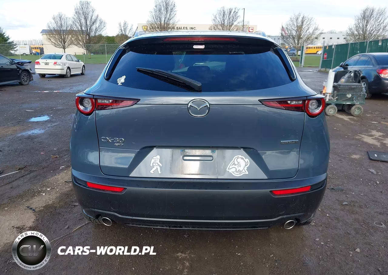 2023 Mazda Cx-30 2.5 S Carbon Edition VIN:3MVDMBCM3PM524880 - 16