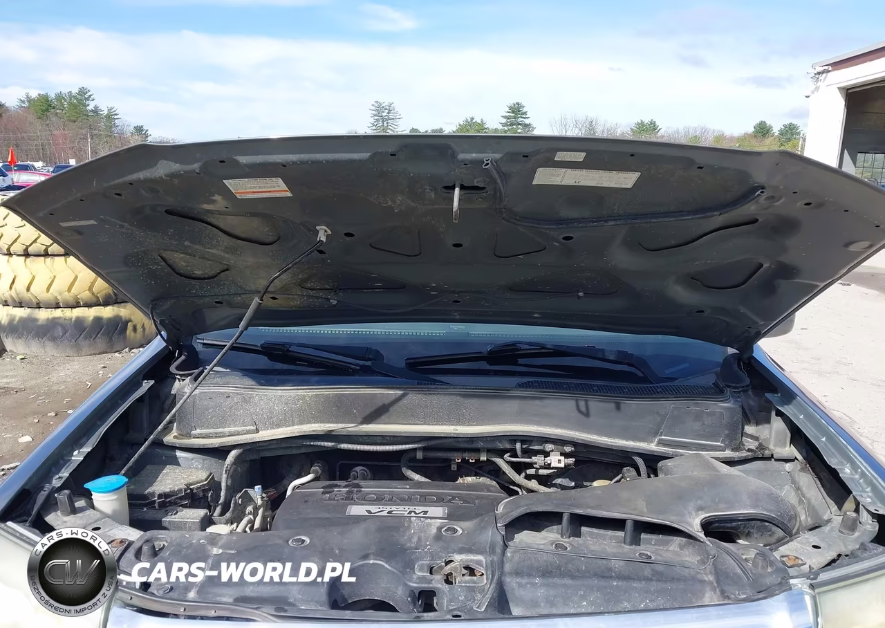 2009 Honda Pilot Touring VIN:5FNYF48909B041075 - 10