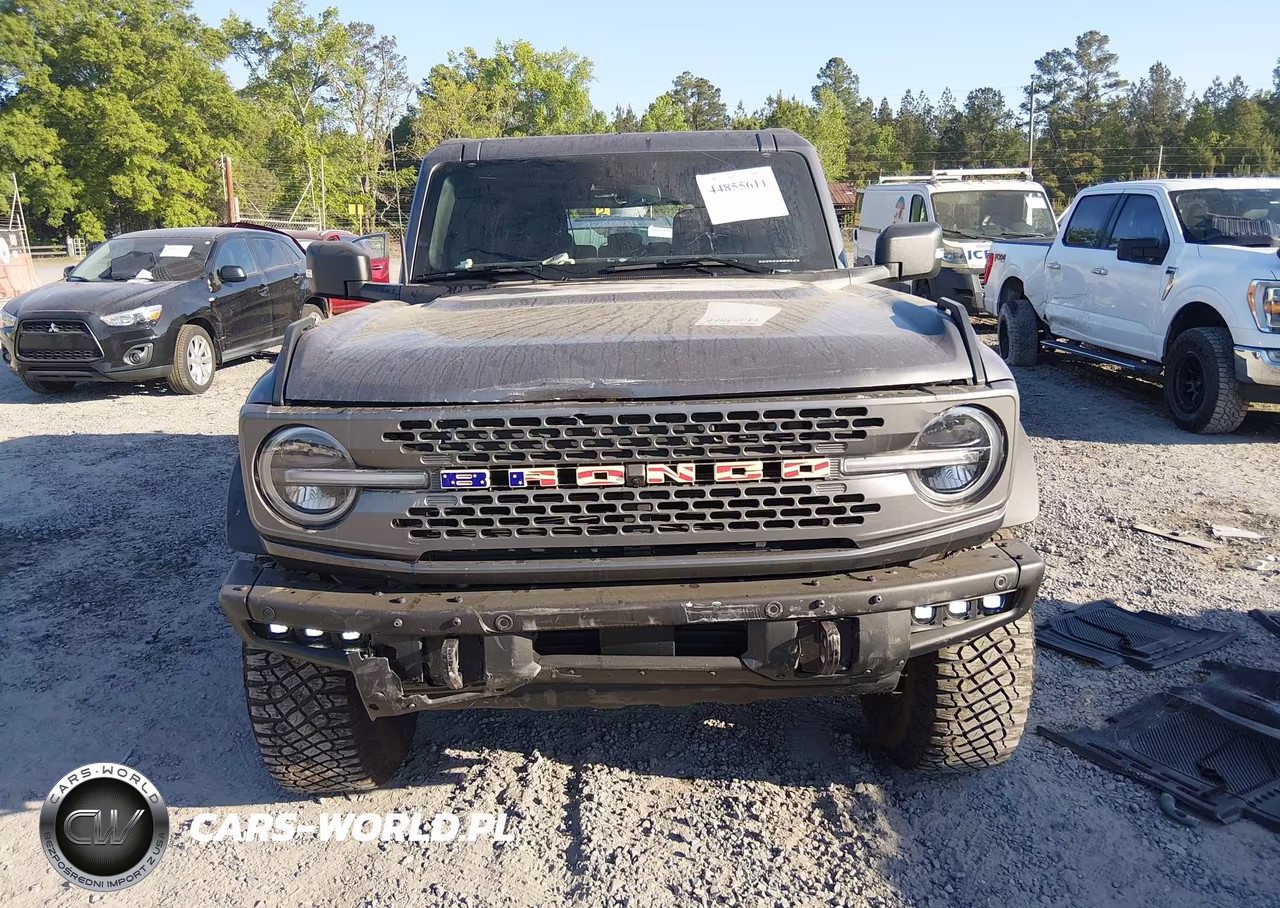 2023 Ford Bronco Badlands VIN:1FMEE5DP3PLB43315 - 12