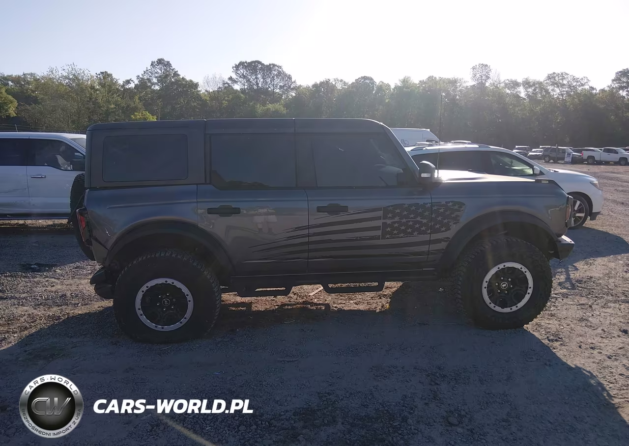 2023 Ford Bronco Badlands VIN:1FMEE5DP3PLB43315 - 13
