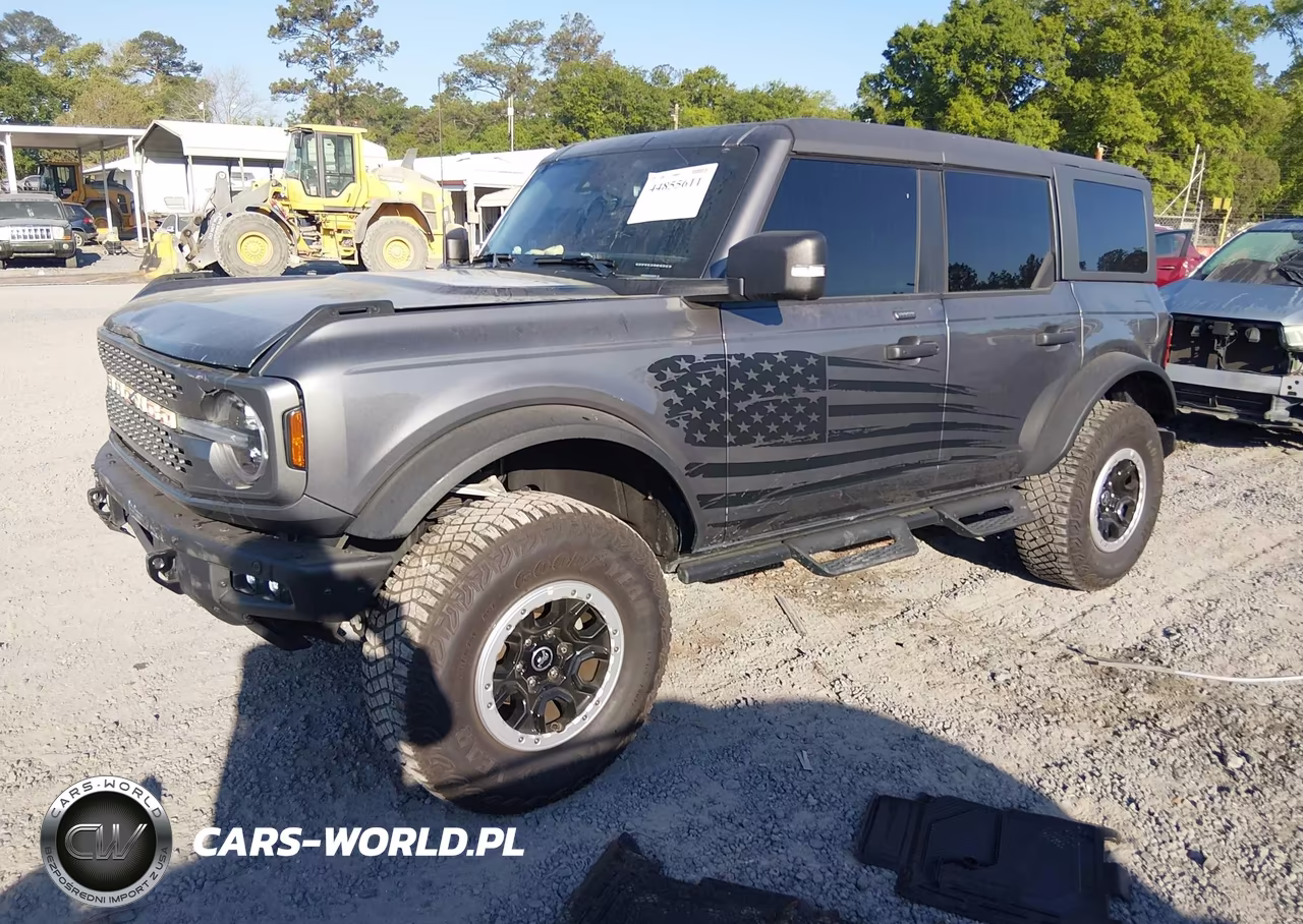2023 Ford Bronco Badlands VIN:1FMEE5DP3PLB43315 - 2