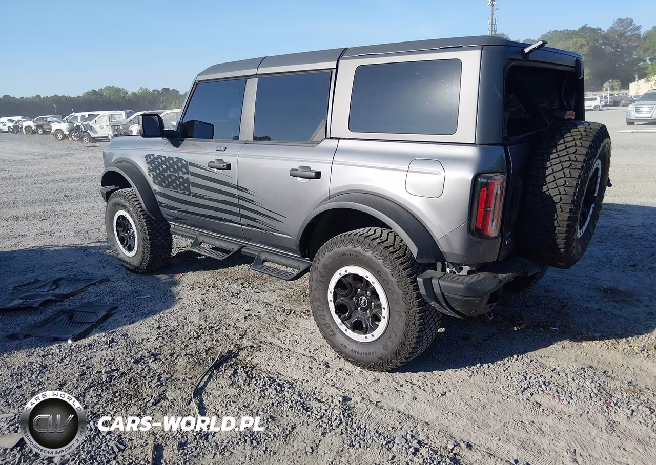 2023 Ford Bronco Badlands VIN:1FMEE5DP3PLB43315 - 3