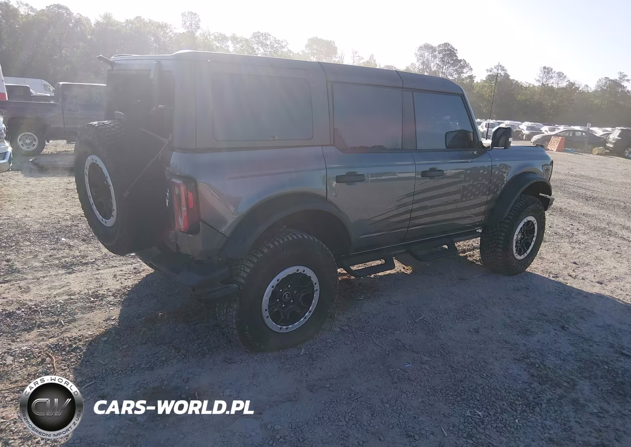 2023 Ford Bronco Badlands VIN:1FMEE5DP3PLB43315 - 4