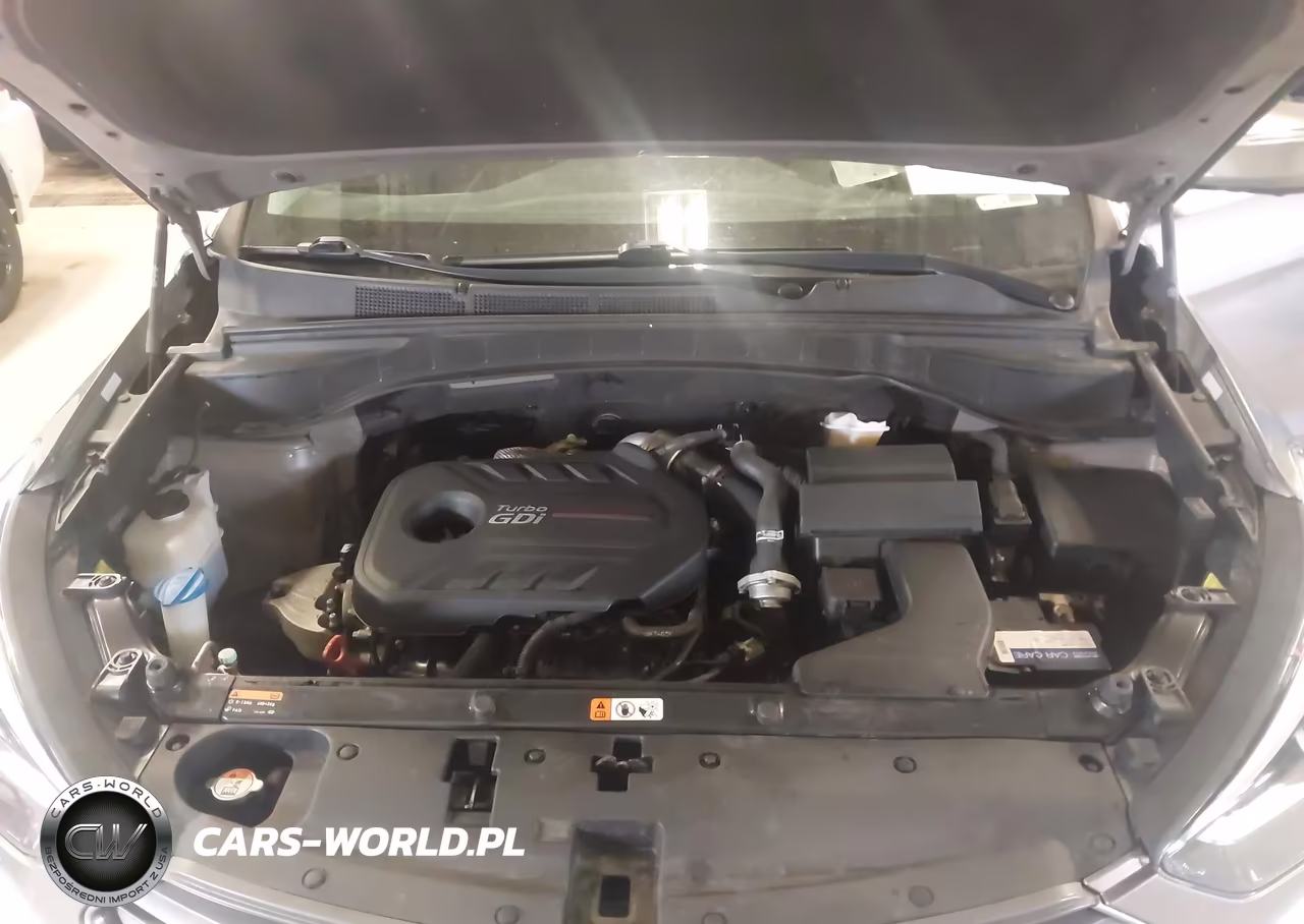 2018 Hyundai Santa Fe Sport 2.0T Ultimate VIN:5XYZWDLA4JG502894 - 10