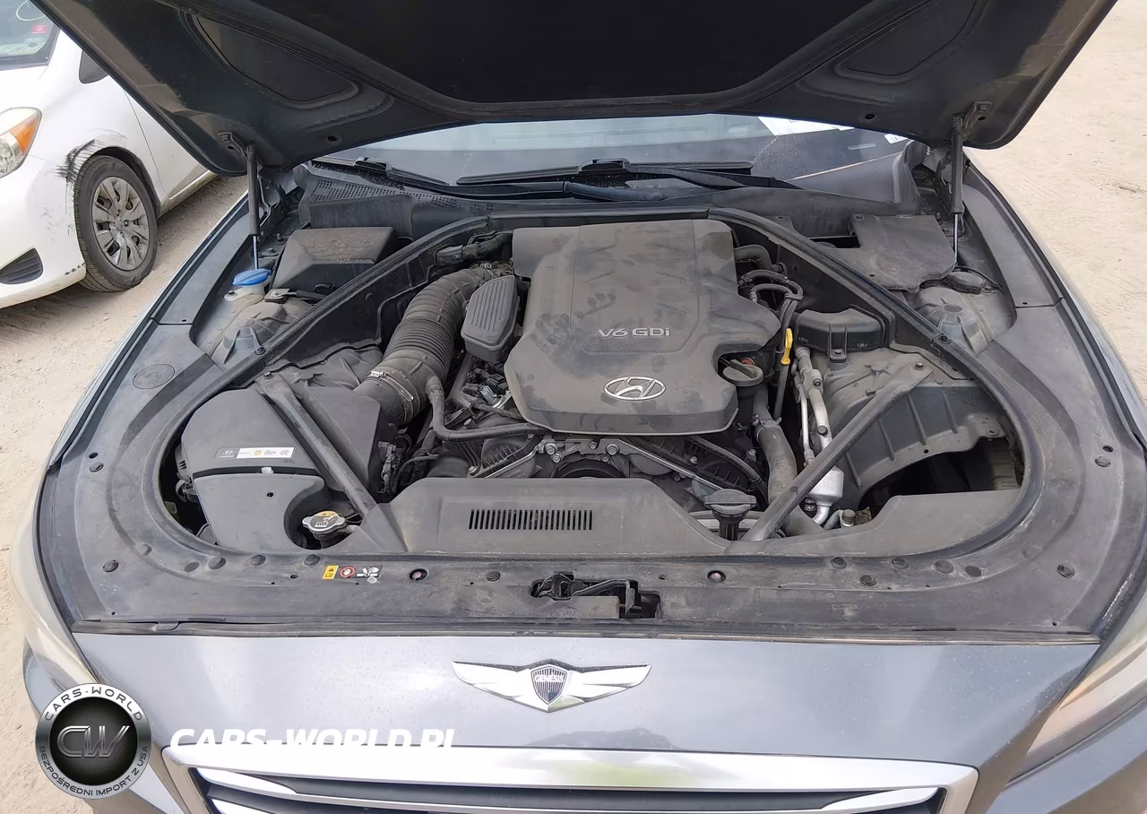 2015 Hyundai Genesis 3.8 VIN:KMHGN4JE9FU097827 - 10