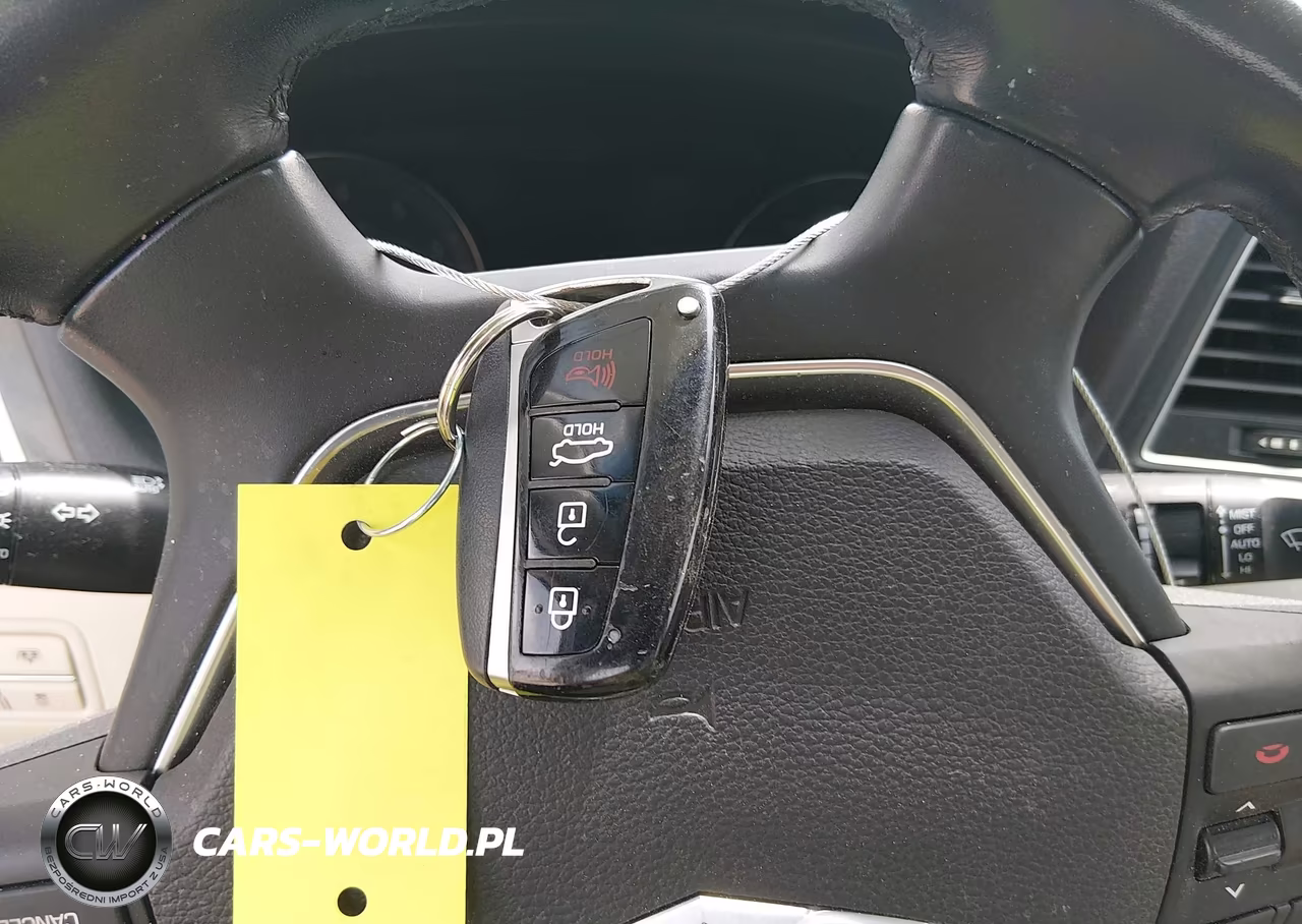 2015 Hyundai Genesis 3.8 VIN:KMHGN4JE9FU097827 - 11