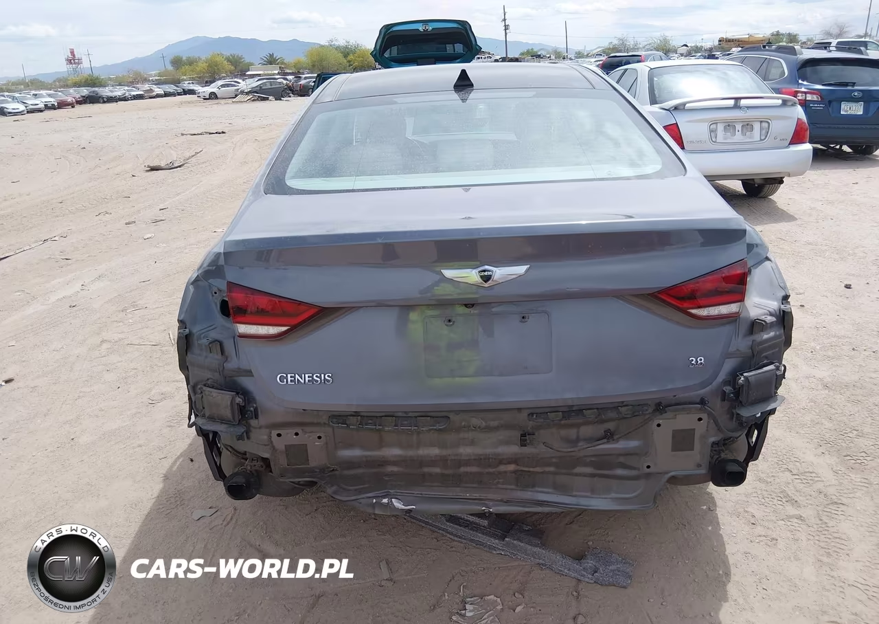2015 Hyundai Genesis 3.8 VIN:KMHGN4JE9FU097827 - 17