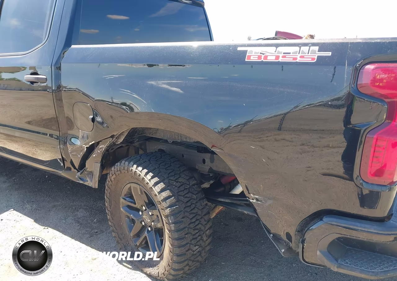 2023 Chevrolet Silverado 1500 4Wd Short Bed Custom Trail Boss VIN:3GCUDCEDXPG171864 - 17