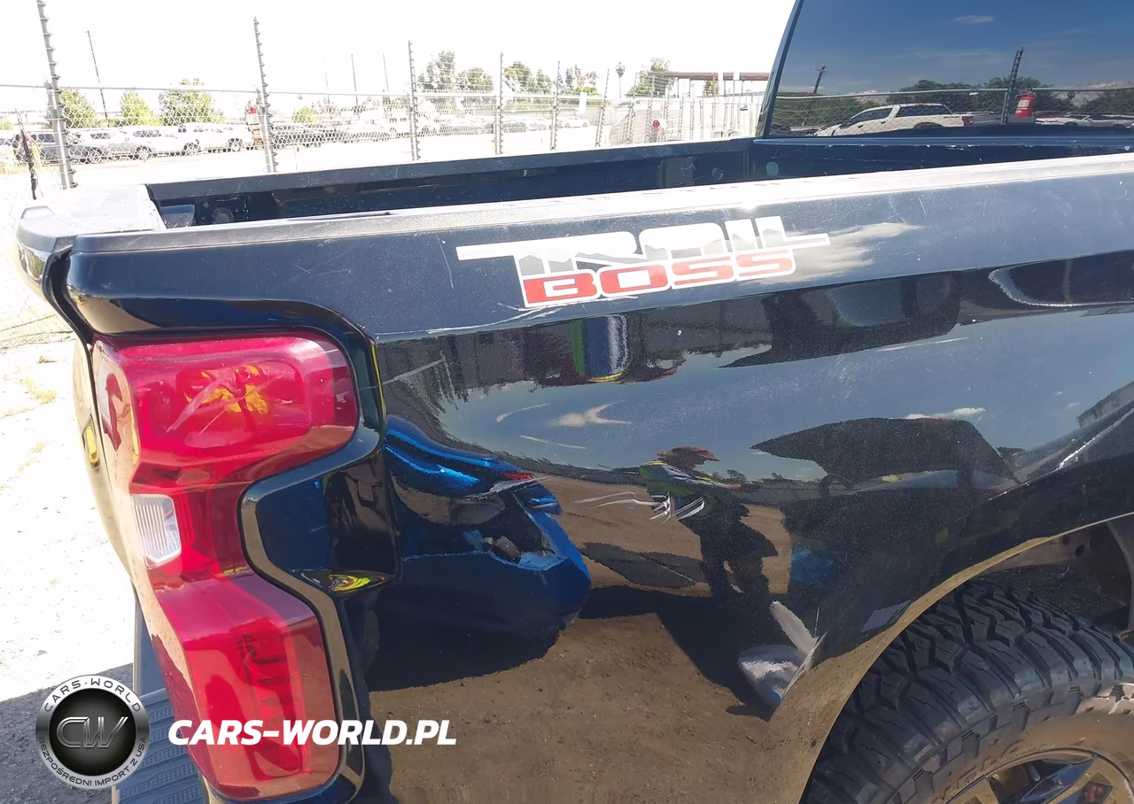 2023 Chevrolet Silverado 1500 4Wd Short Bed Custom Trail Boss VIN:3GCUDCEDXPG171864 - 18