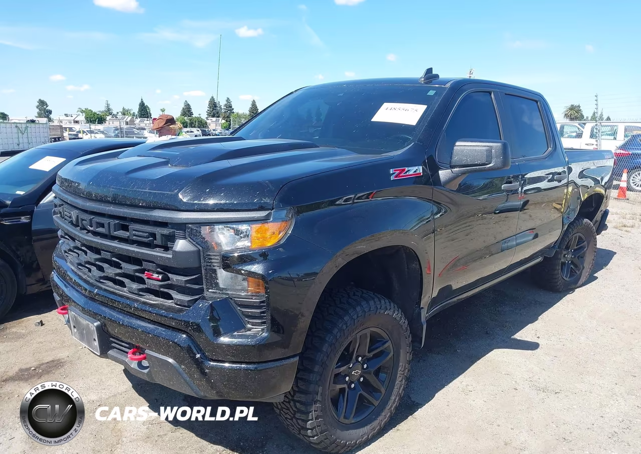2023 Chevrolet Silverado 1500 4Wd Short Bed Custom Trail Boss VIN:3GCUDCEDXPG171864 - 2