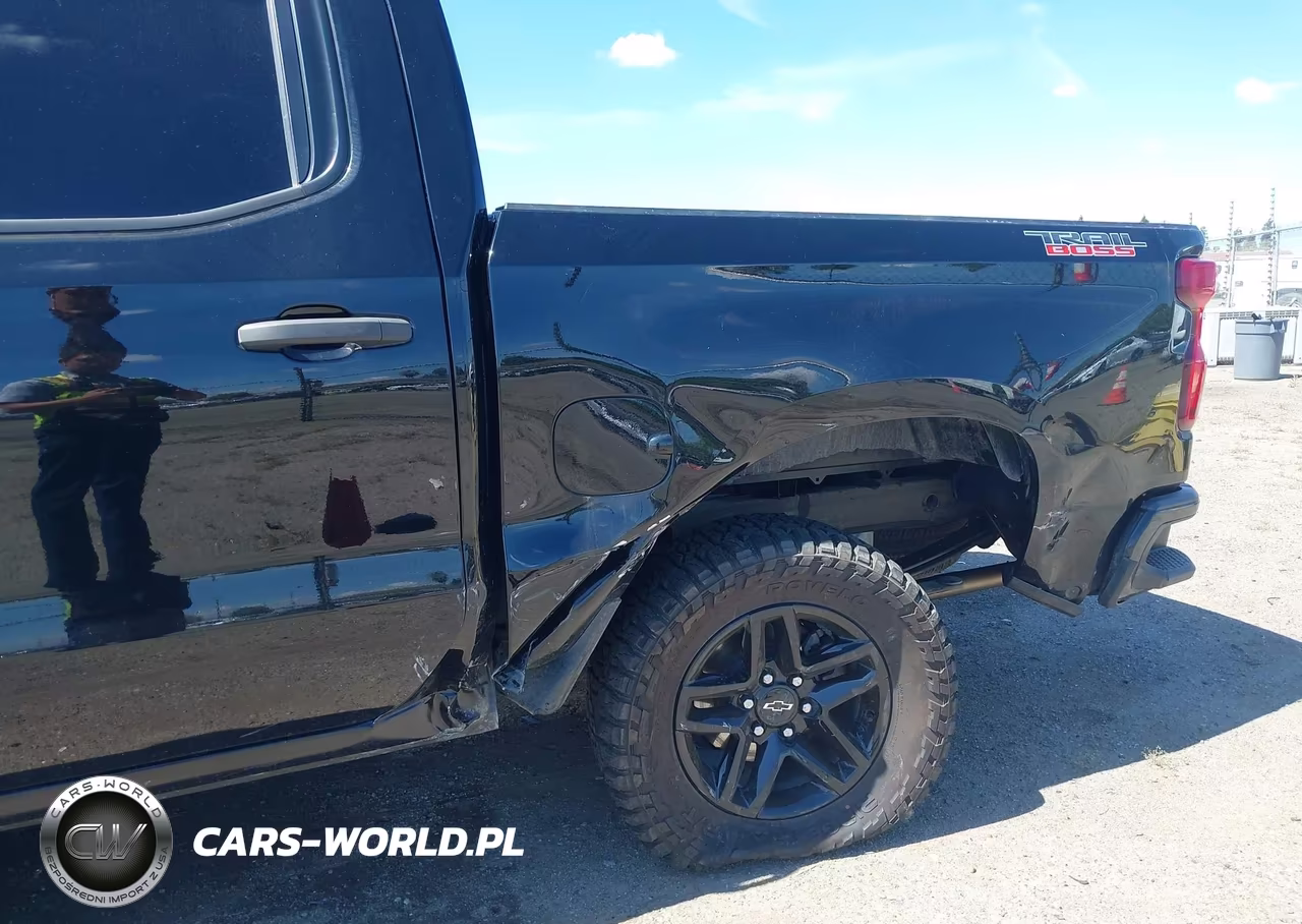 2023 Chevrolet Silverado 1500 4Wd Short Bed Custom Trail Boss VIN:3GCUDCEDXPG171864 - 6