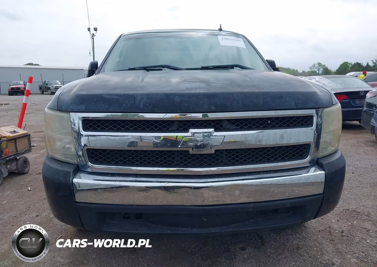 2010 Chevrolet Silverado 1500 Ls VIN:3GCRCREA1AG201276 - 12