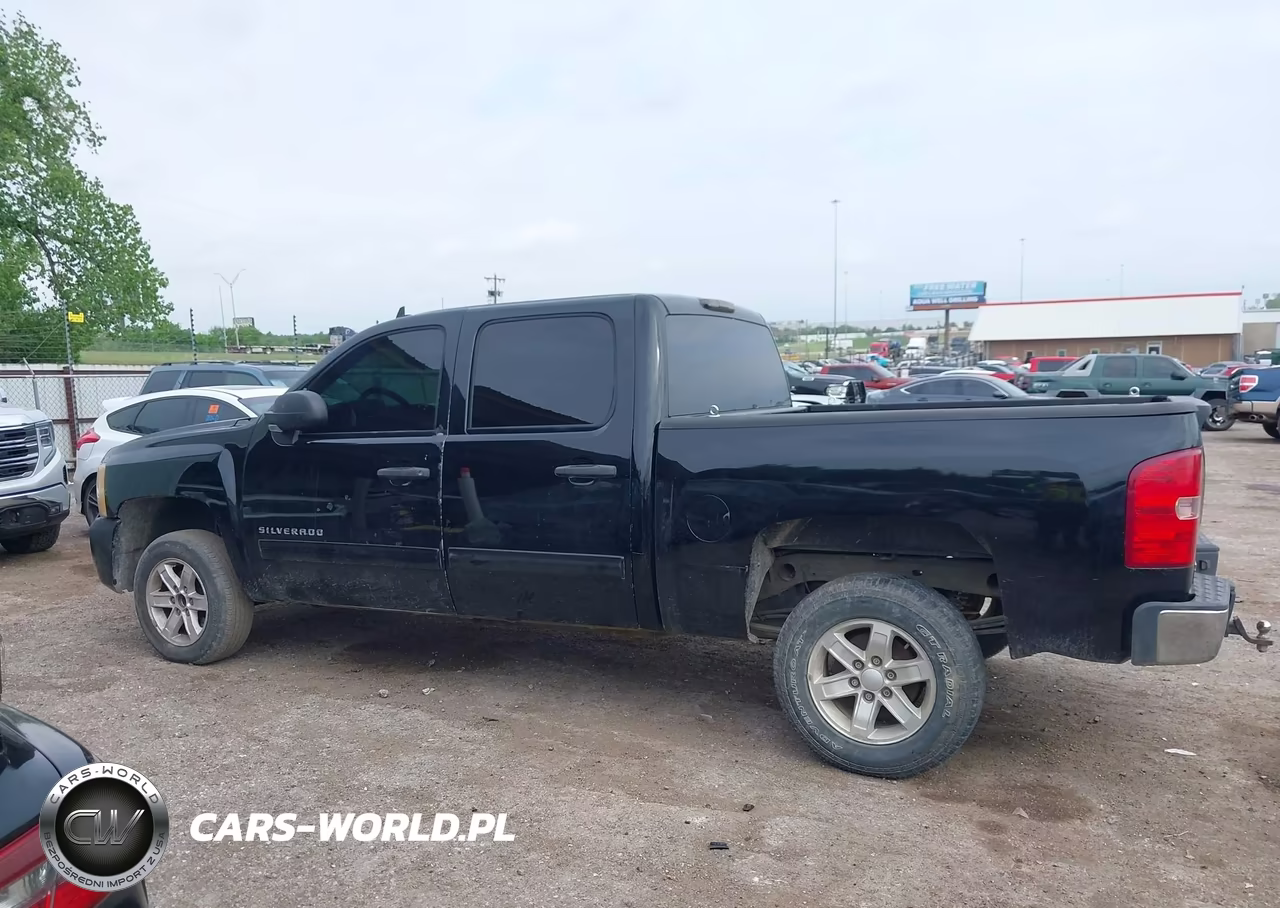 2010 Chevrolet Silverado 1500 Ls VIN:3GCRCREA1AG201276 - 14