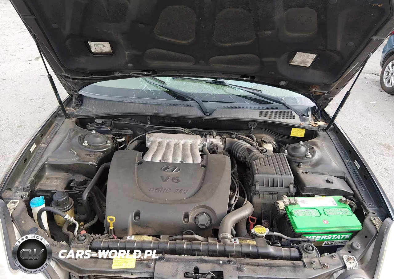 2004 Hyundai Sonata Gls-Lx VIN:KMHWF35H64A988678 - 10