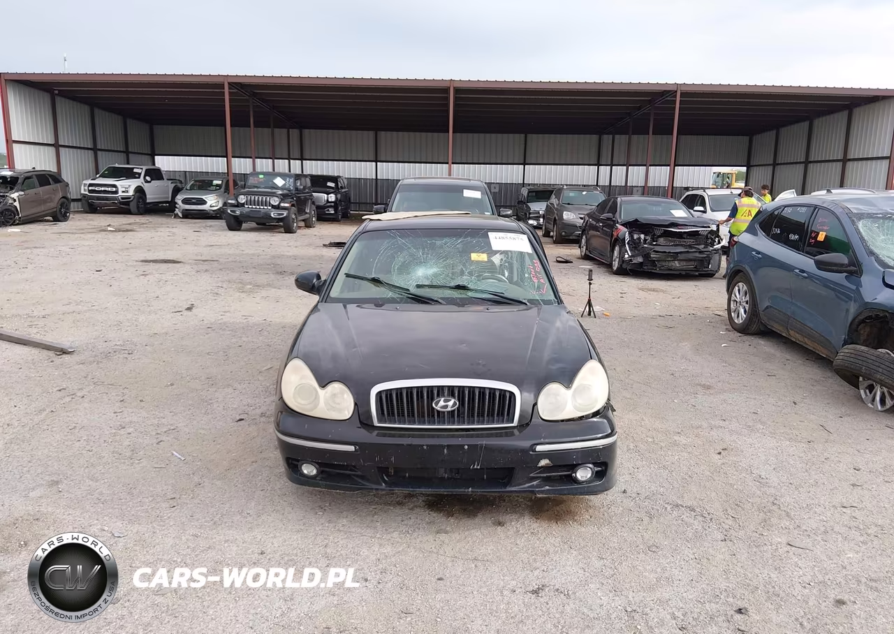 2004 Hyundai Sonata Gls-Lx VIN:KMHWF35H64A988678 - 12