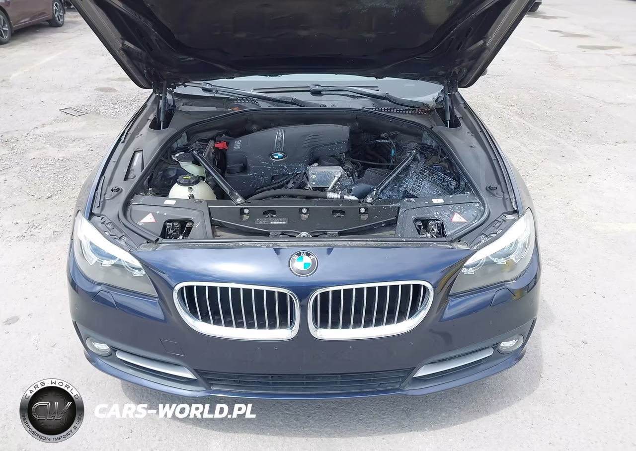 2015 BMW 528I VIN:WBA5A5C55FD514061 - 10