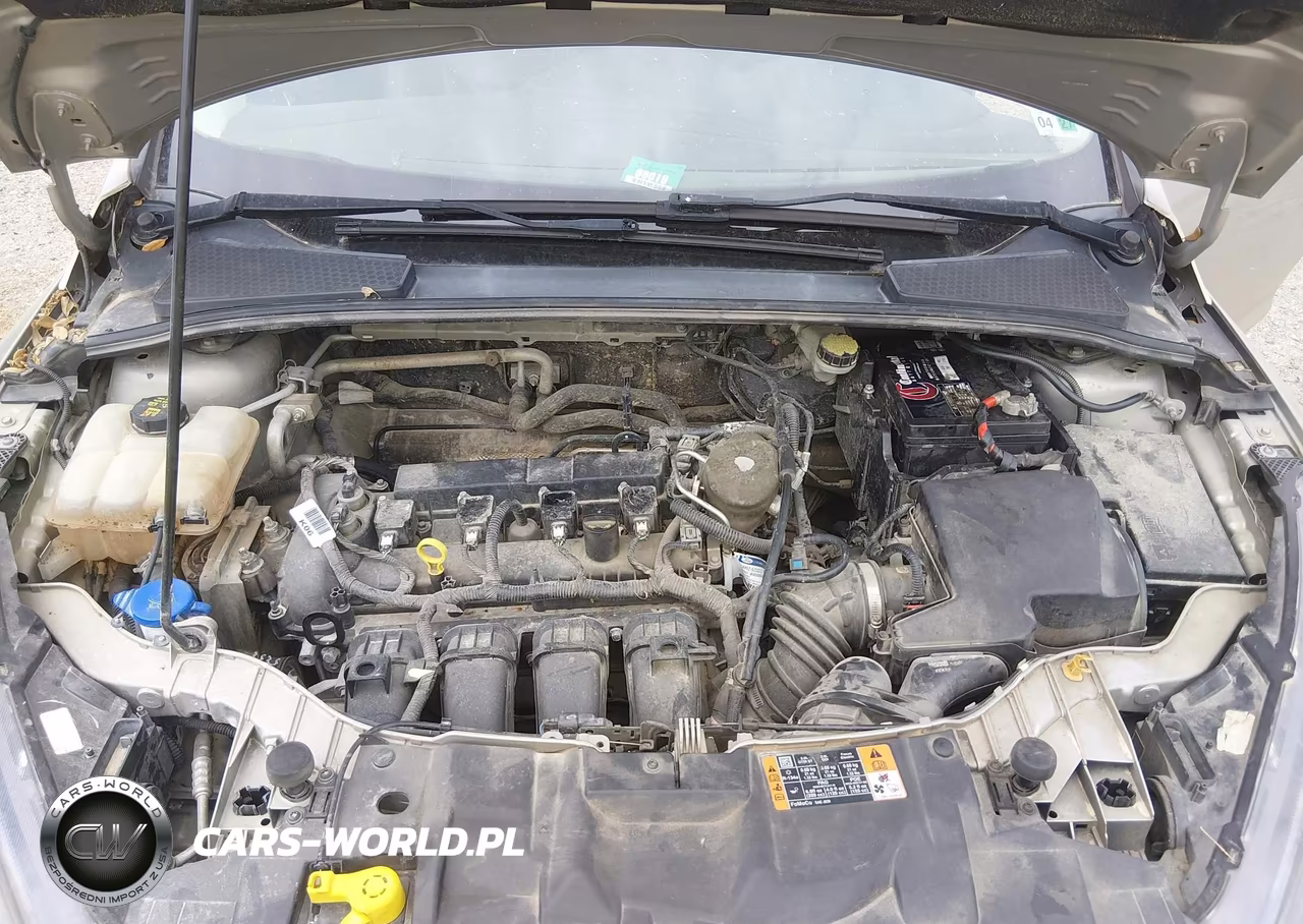 2015 Ford Focus Se VIN:1FADP3K28FL336005 - 10