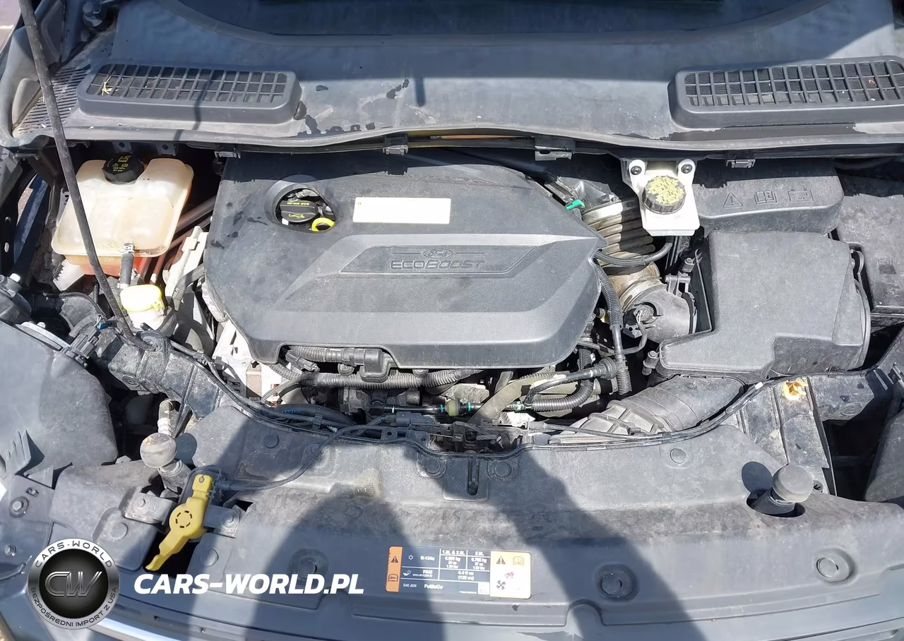 2016 Ford Escape Se VIN:1FMCU0GXXGUB94099 - 10