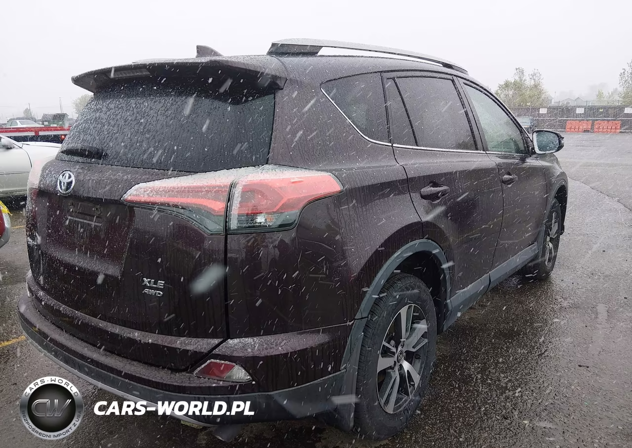 2018 Toyota Rav4 Xle VIN:2T3RFREV2JW807020 - 4