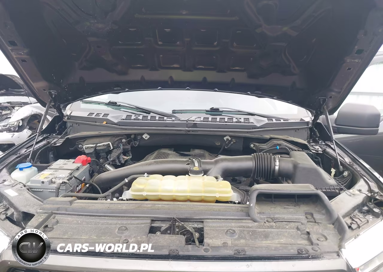 2019 Ford F-150 Xl VIN:1FTEW1E49KFC38645 - 10