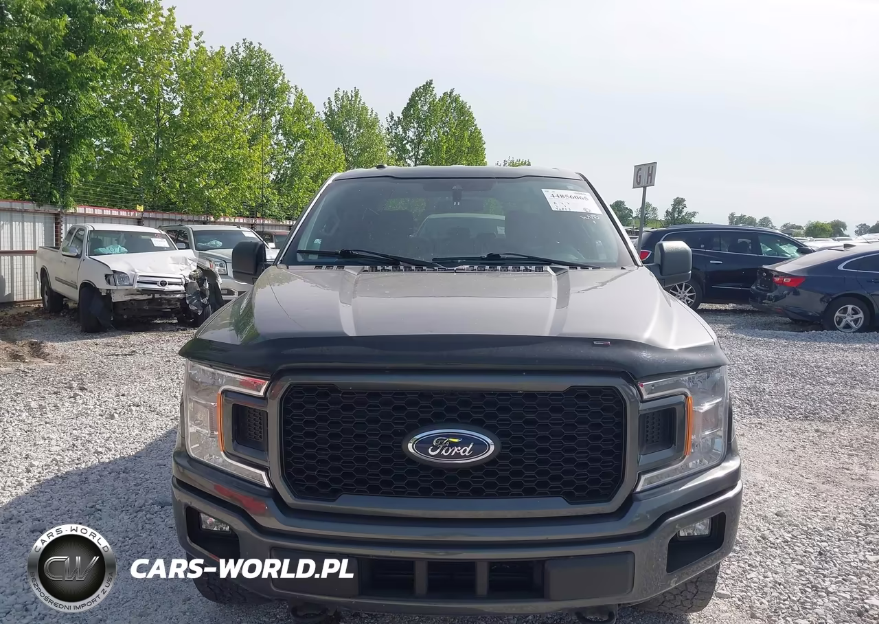 2019 Ford F-150 Xl VIN:1FTEW1E49KFC38645 - 12
