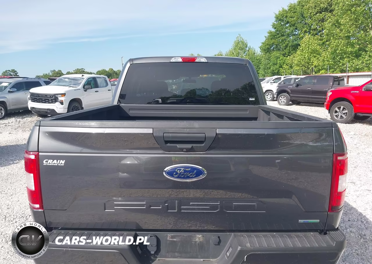 2019 Ford F-150 Xl VIN:1FTEW1E49KFC38645 - 16