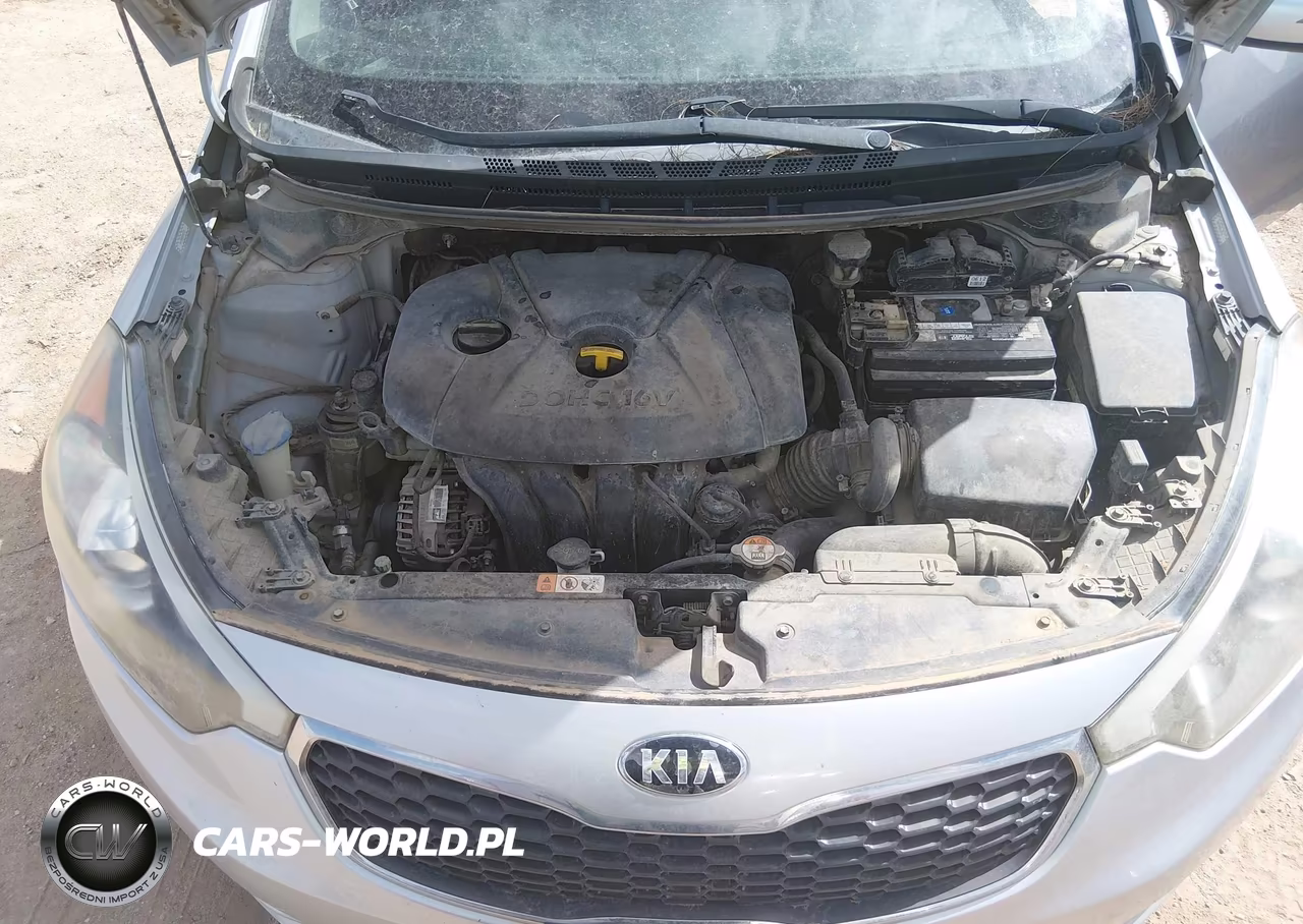 2016 Kia Forte Lx VIN:KNAFX4A66G5442730 - 10