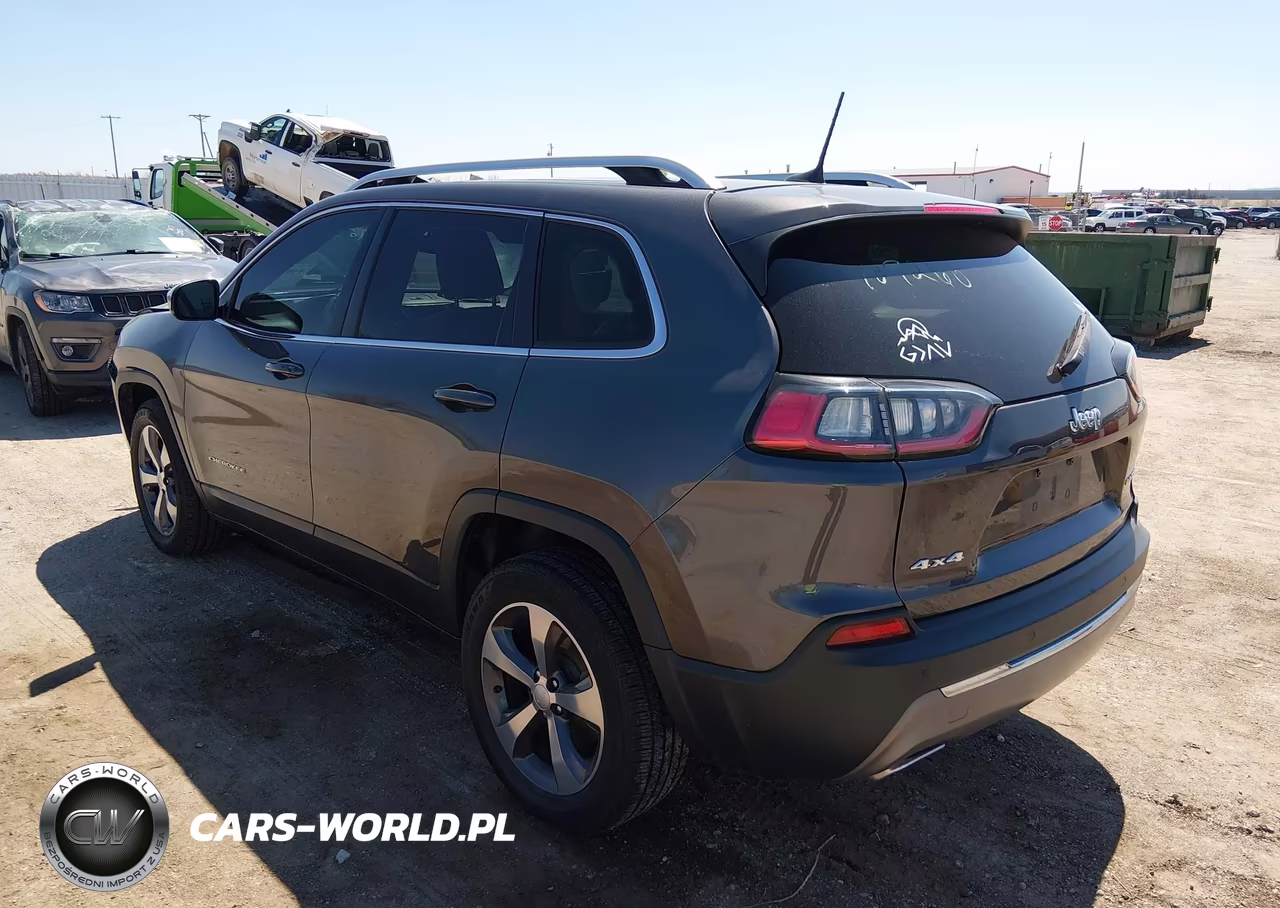 2019 Jeep Cherokee Limited 4X4 VIN:1C4PJMDX0KD451841 - 3