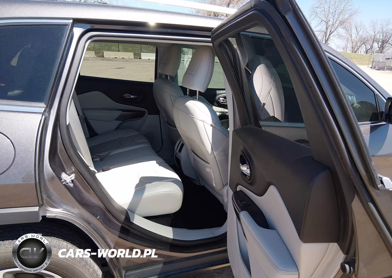 2019 Jeep Cherokee Limited 4X4 VIN:1C4PJMDX0KD451841 - 8