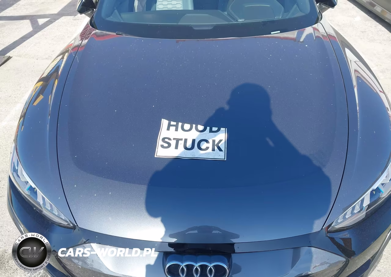 2023 Audi E-Tron Gt Premium Plus Quattro VIN:WAUCJBFW2P7004549 - 10