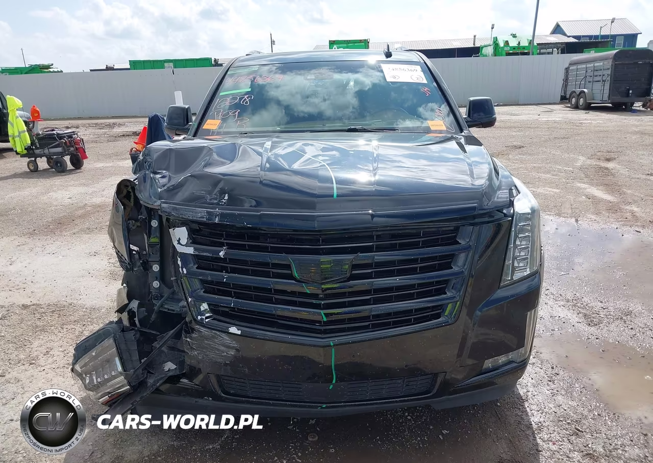 2017 Cadillac Escalade Esv Platinum VIN:1GYS4KKJ2HR317830 - 12