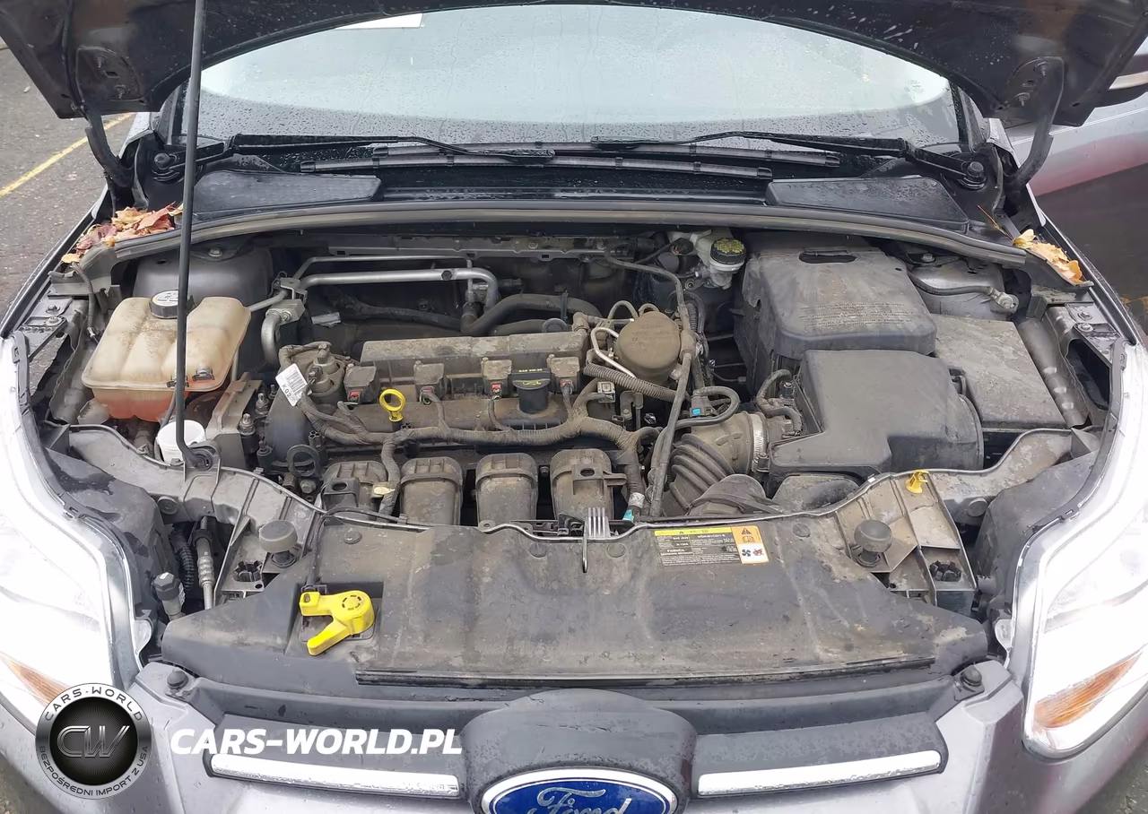 2013 Ford Focus Se VIN:1FADP3F2XDL267499 - 10