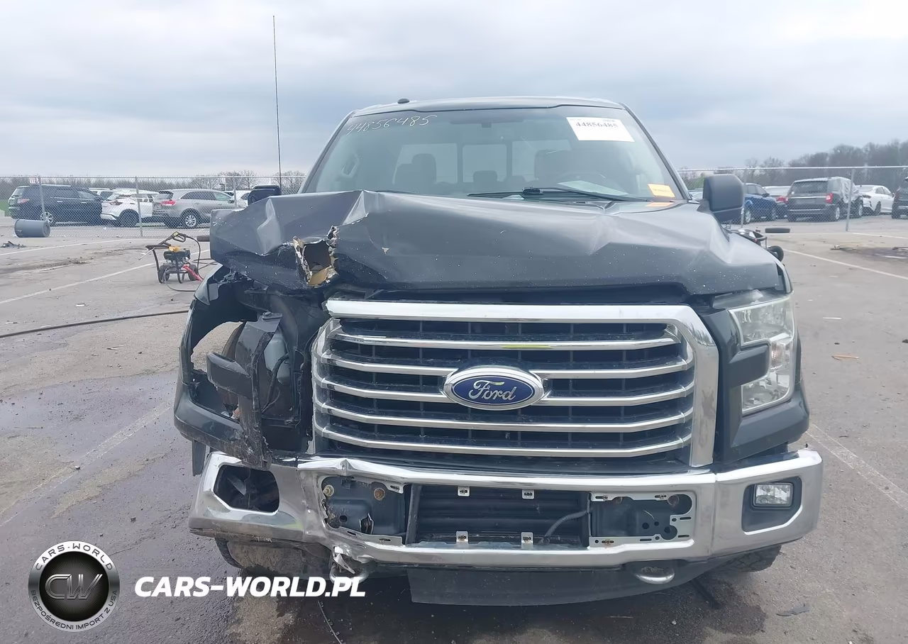 2016 Ford F-150 Xlt VIN:1FTEW1EP0GKF58400 - 12