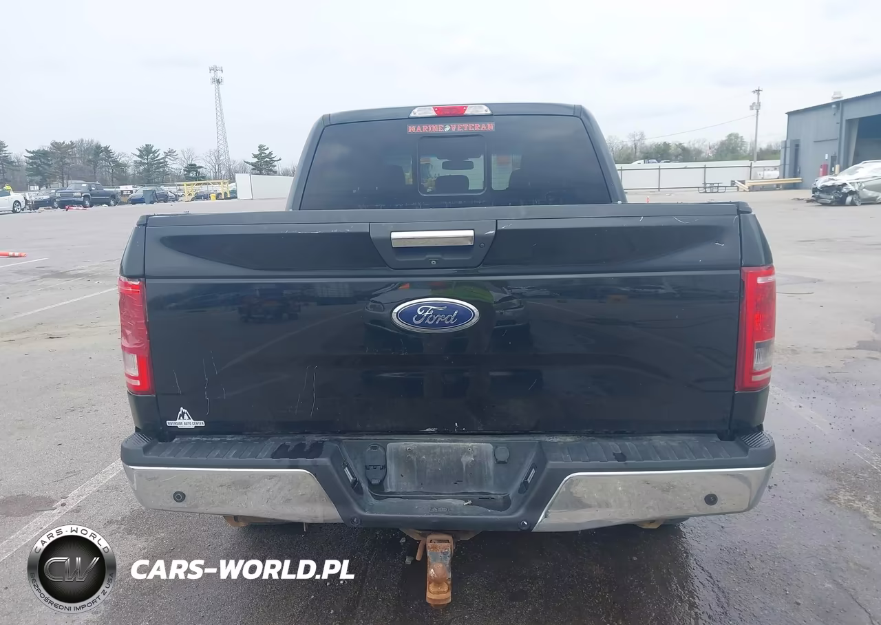 2016 Ford F-150 Xlt VIN:1FTEW1EP0GKF58400 - 16