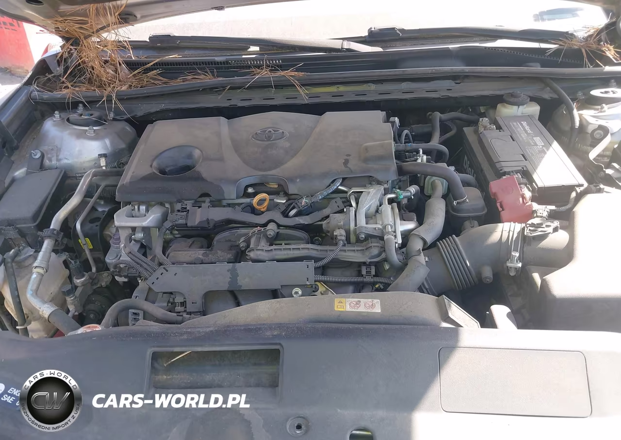 2018 Toyota Camry Xse VIN:4T1B61HK2JU102098 - 10