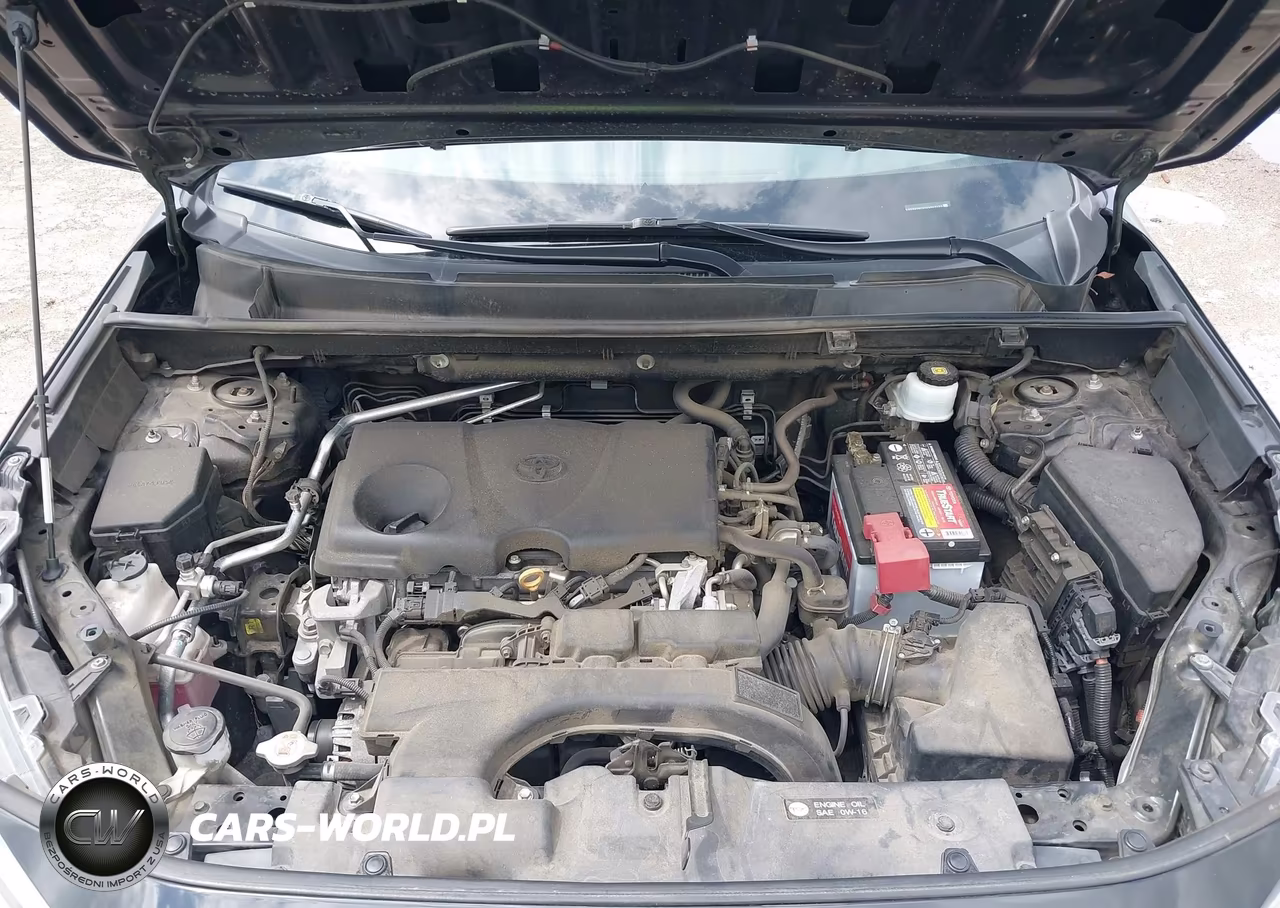 2019 Toyota Rav4 Xle VIN:2T3W1RFV5KW003151 - 10