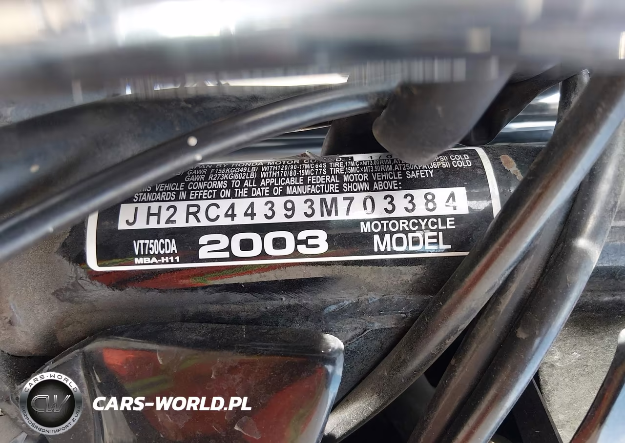 2003 Honda Vt750 Cda VIN:JH2RC44393M703384 - 10