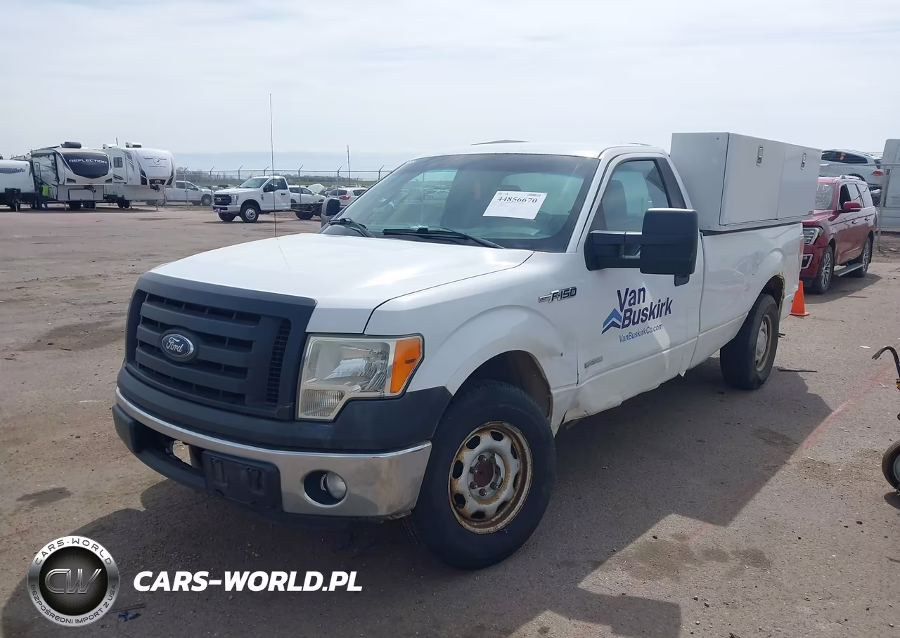 2011 Ford F150 VIN:1FTPF1CT6BKD94801 - 2