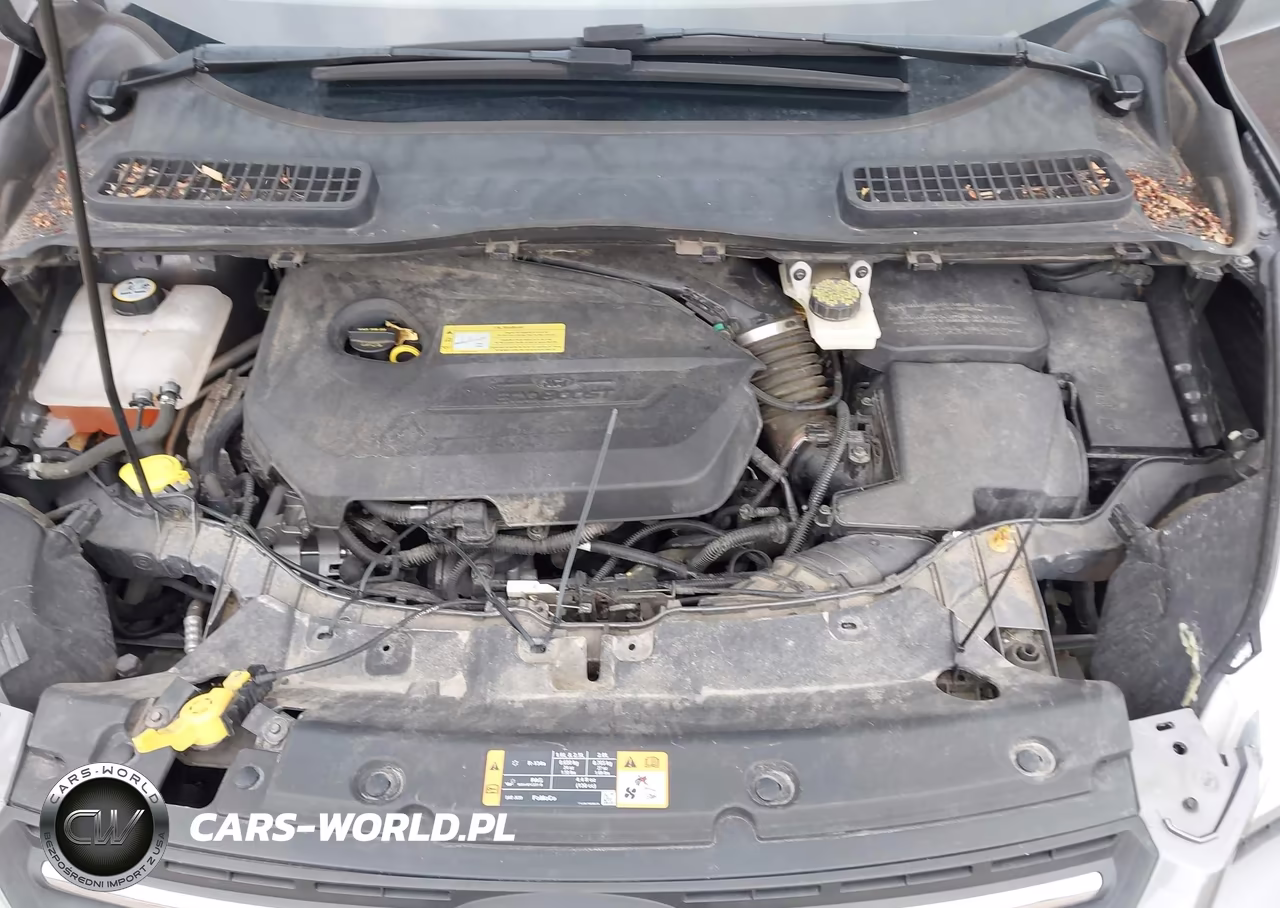 2013 Ford Escape Se VIN:1FMCU9GX6DUB91961 - 10