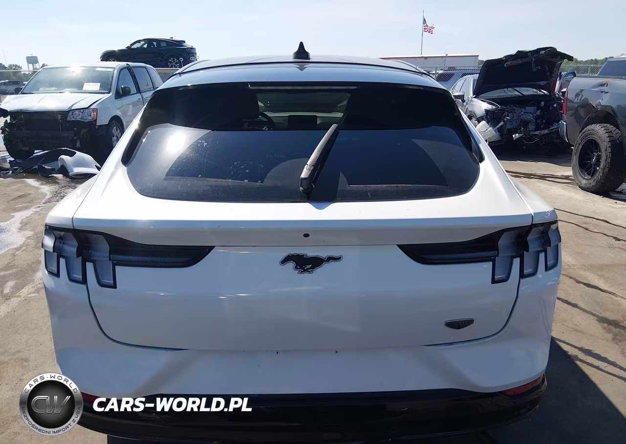 2021 Ford Mustang Mach-E California Route 1 VIN:3FMTK2R71MMA01661 - 16