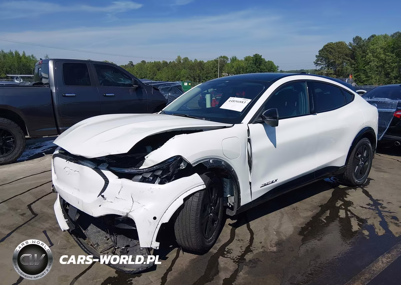 2021 Ford Mustang Mach-E California Route 1 VIN:3FMTK2R71MMA01661 - 2