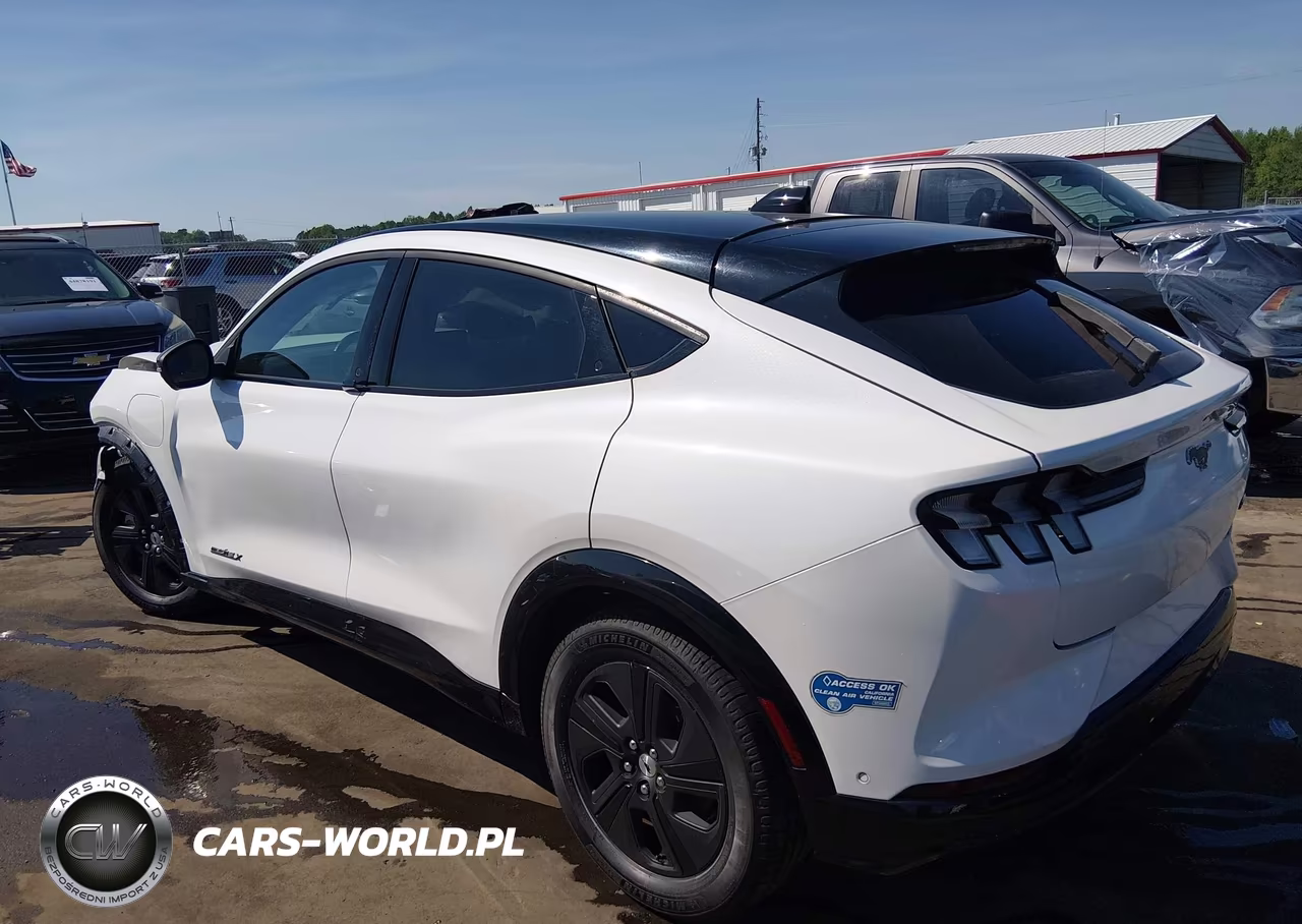 2021 Ford Mustang Mach-E California Route 1 VIN:3FMTK2R71MMA01661 - 3