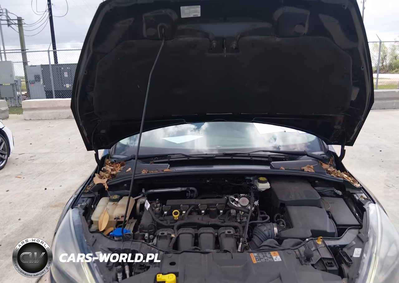 2017 Ford Focus Sel VIN:1FADP3M26HL269842 - 10