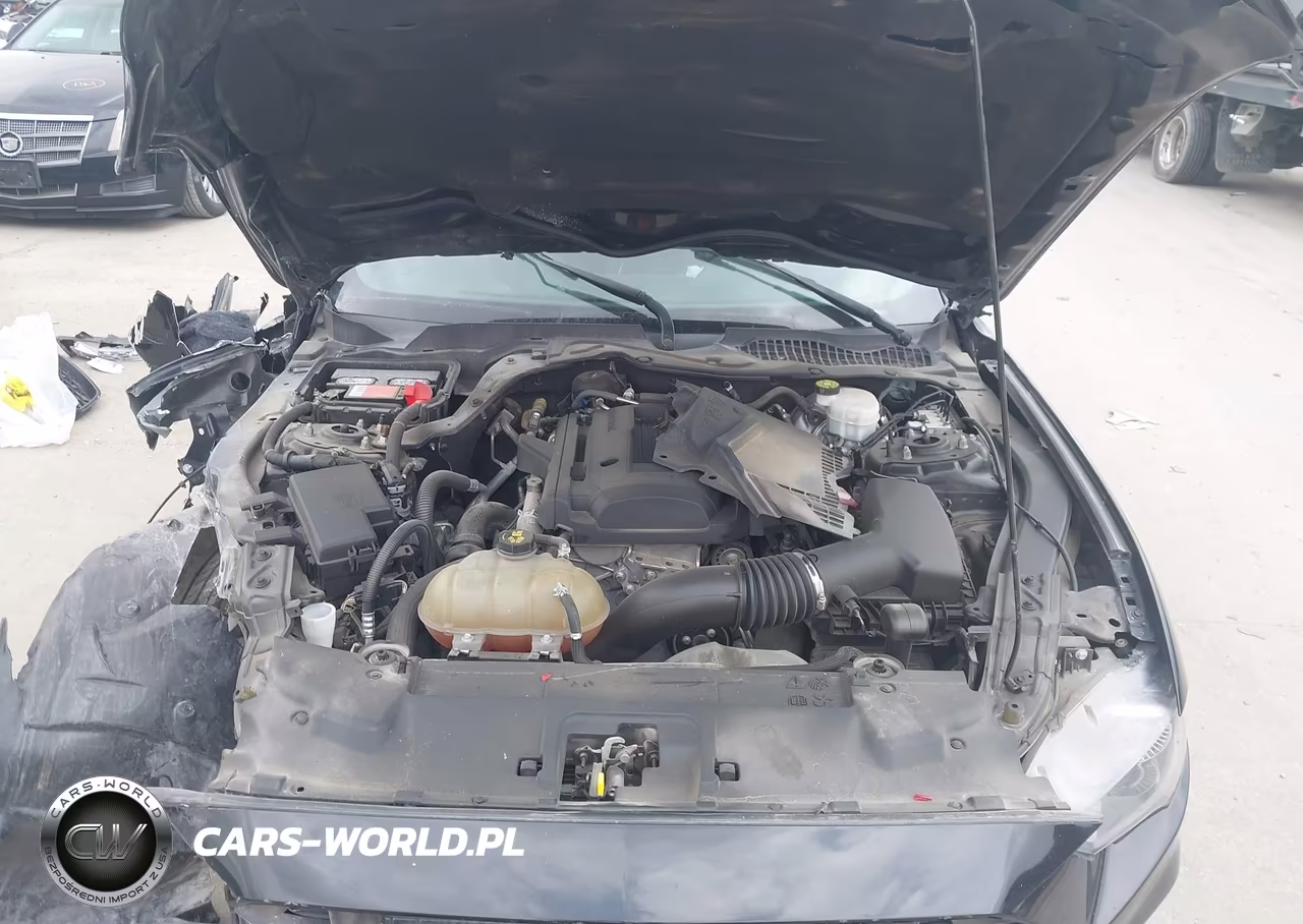 2018 Ford Mustang Ecoboost VIN:1FA6P8TH4J5180440 - 10
