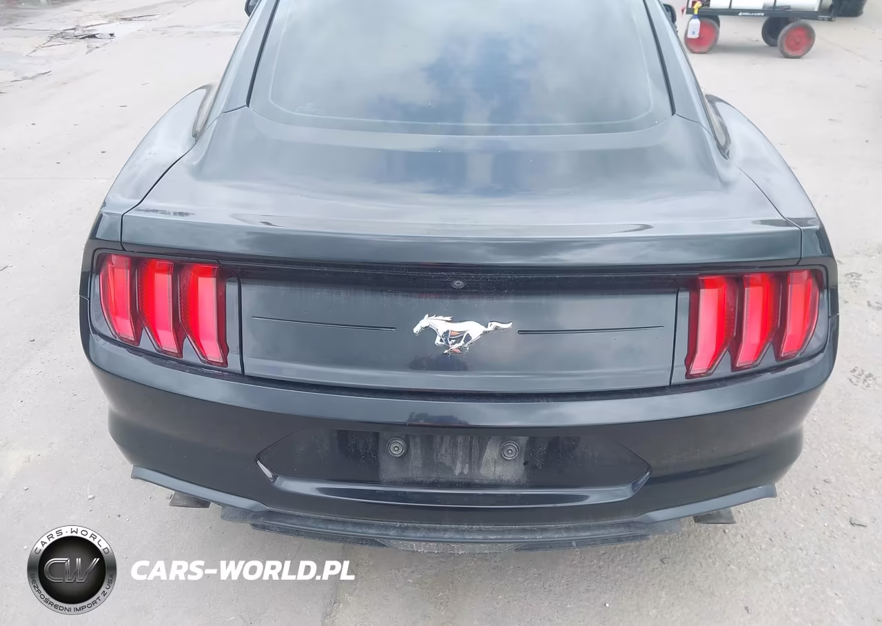 2018 Ford Mustang Ecoboost VIN:1FA6P8TH4J5180440 - 17